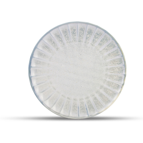 Dinner plate Atlas 26cm