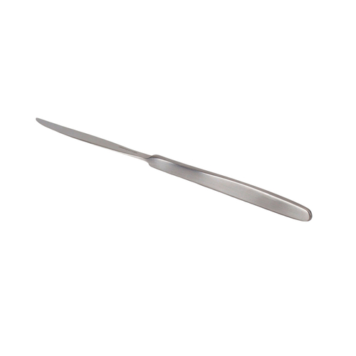 Meat carving knife Vision Brushed