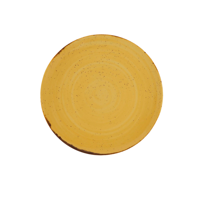 Dinner plate Rústico 24cm - Costaverde - 5603578092566