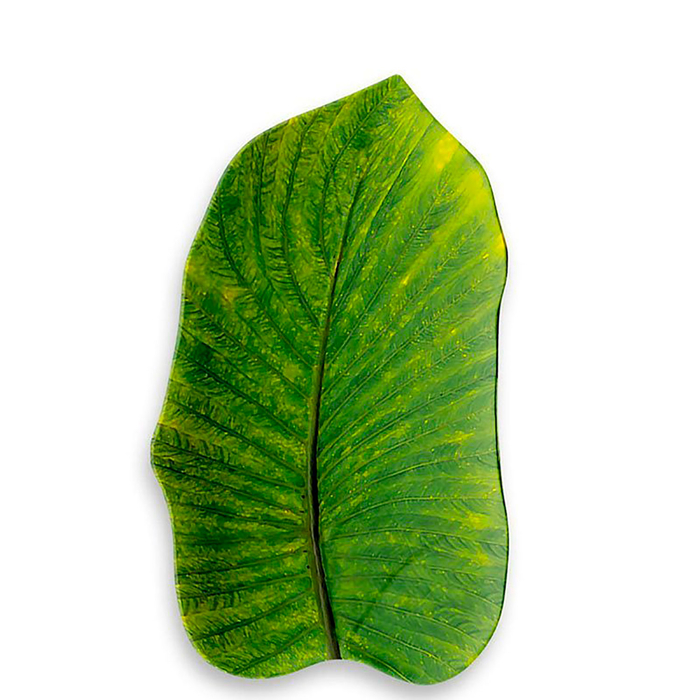 York Green Tray, 37,6cm, Melamine - Touch Mel - 8028460483425