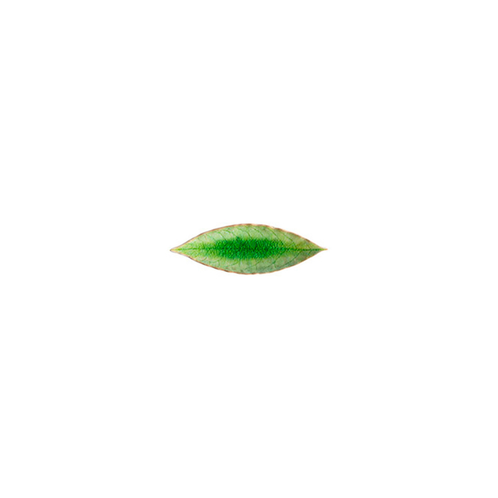 Riviera Bay Leaf Plate 17.8 x 5.7 cm - Costa Nova - 5606739934798