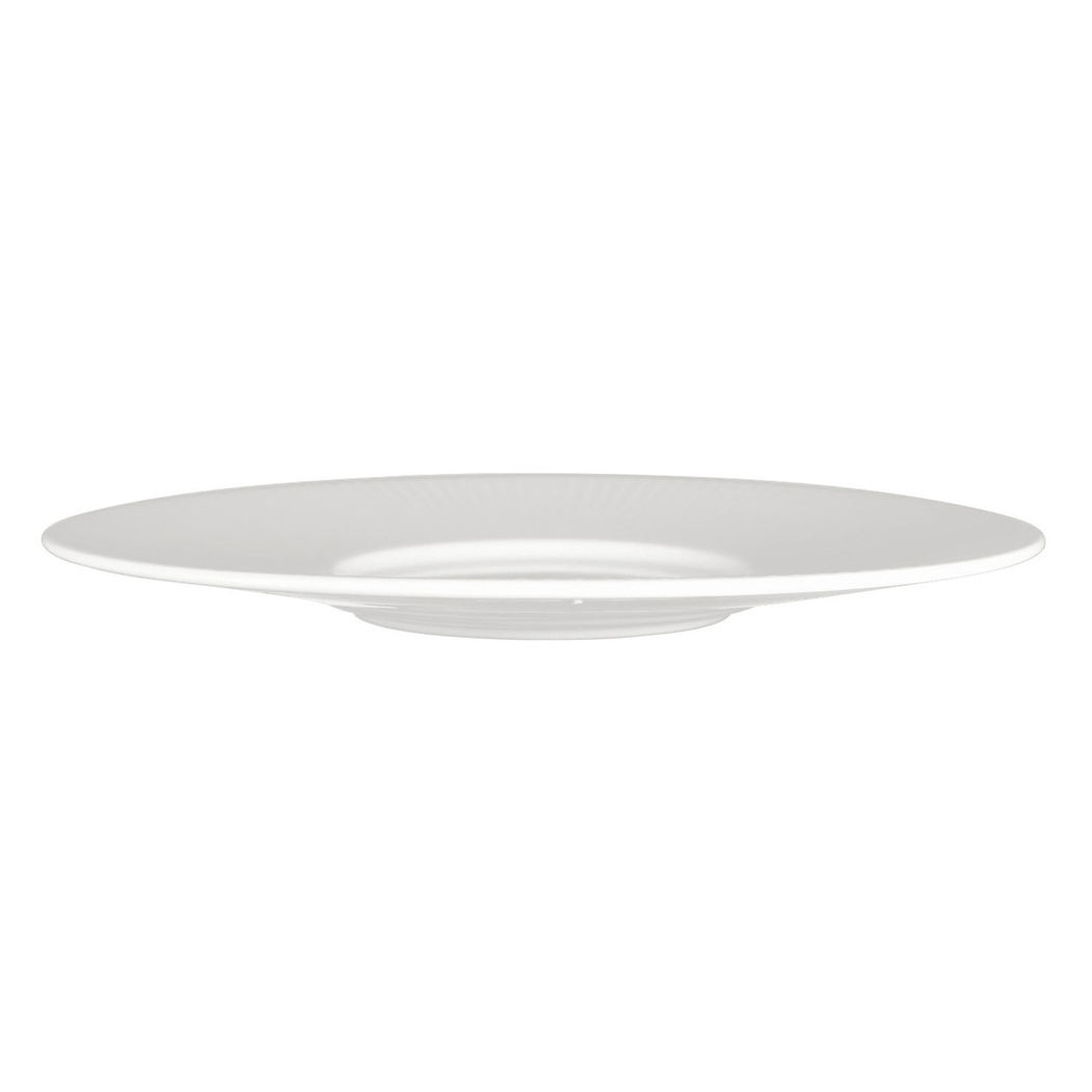 Gourmet Shallow Dish 28cm, Willow, vitrified Porcelain - Steelite - 5018461542057