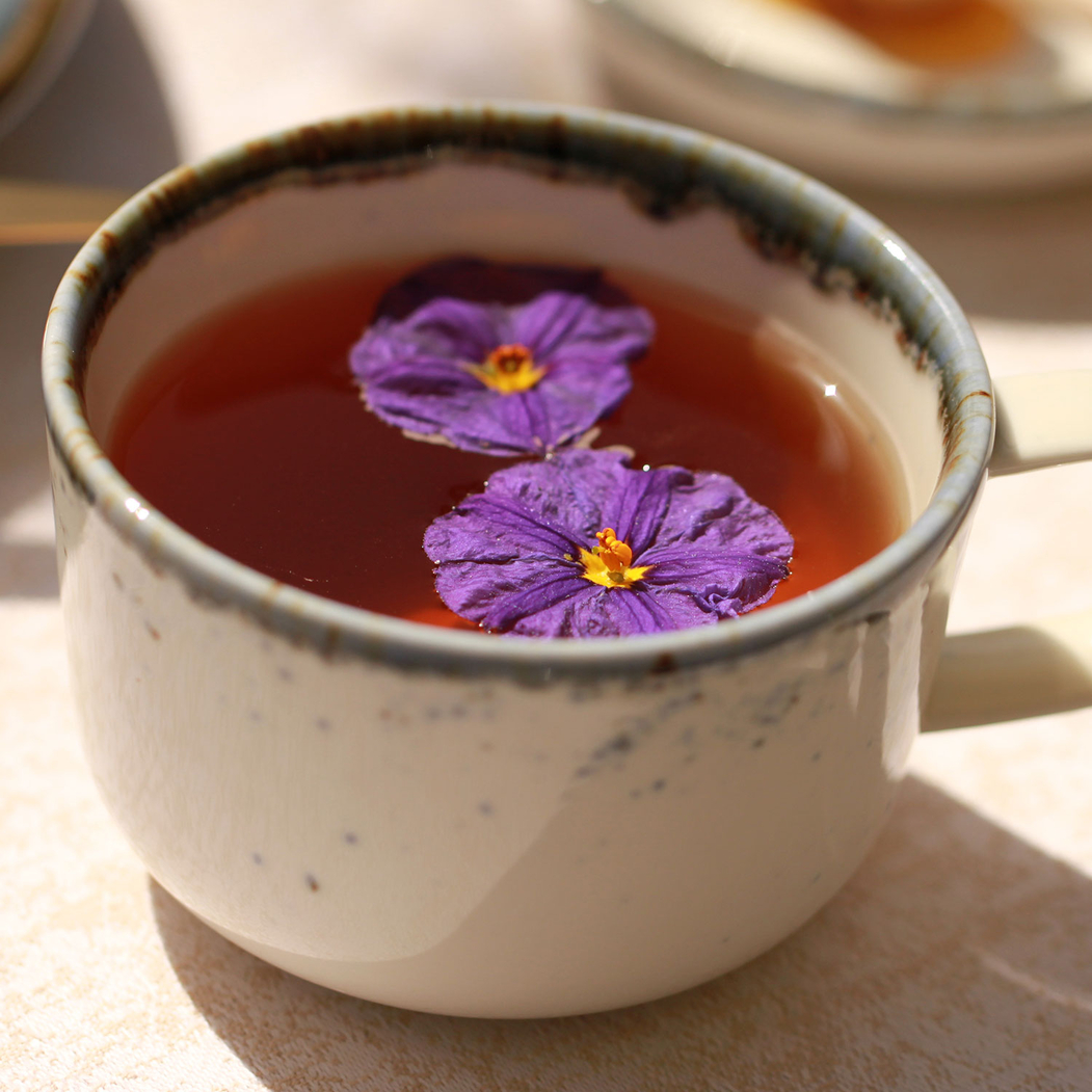 Dreamy Brunch Tableware Set for 6 - Kanto - 5602737110561