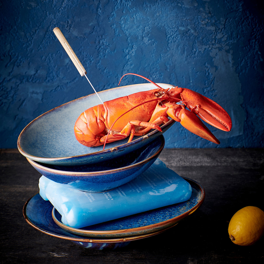 Nova Blue 26×7,5cm Salad Bowl, Blue Hotel Porcelain - F2D - 5410595670871