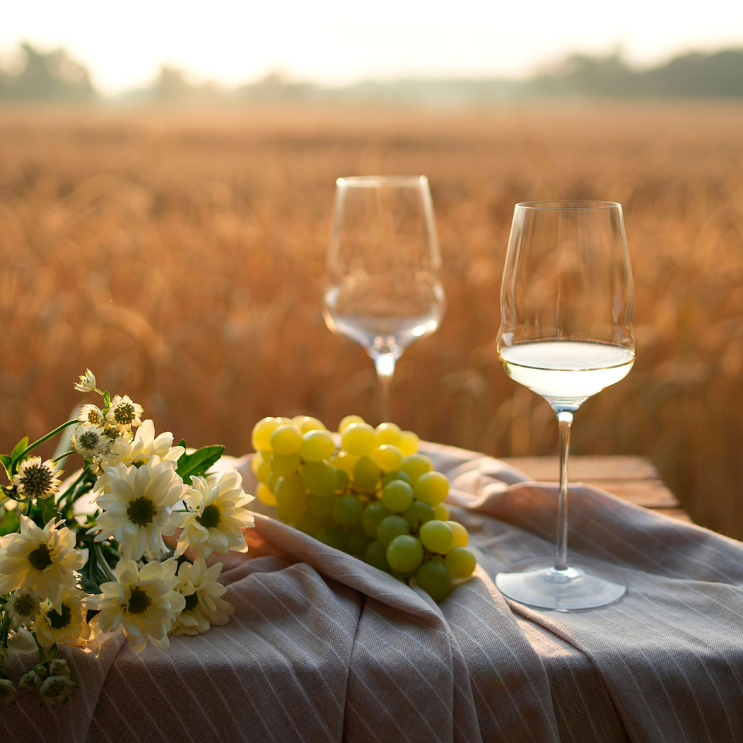 6 Copos Cocoon vinho branco 484ml - Stölzle Lausitz - 5602737104737