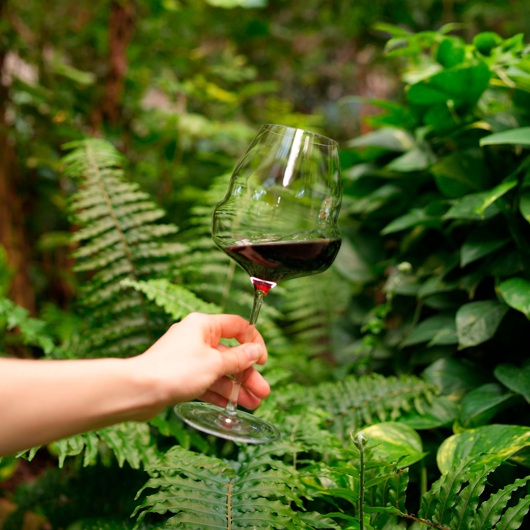 6 Copos Cocoon Burgundy 712ml - Stölzle Lausitz - 5602737104751