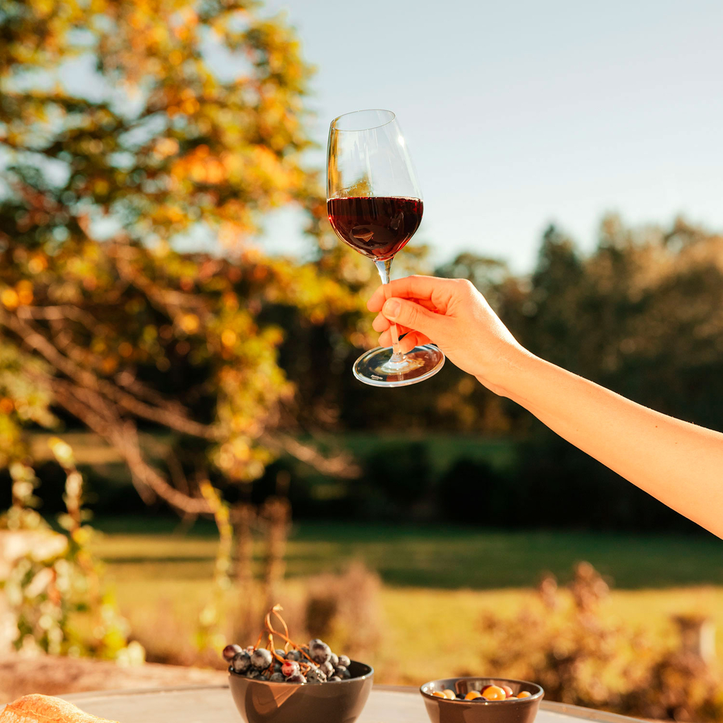 6 copos Fino vinho tinto 545ml - Stölzle Lausitz - 5602737104980