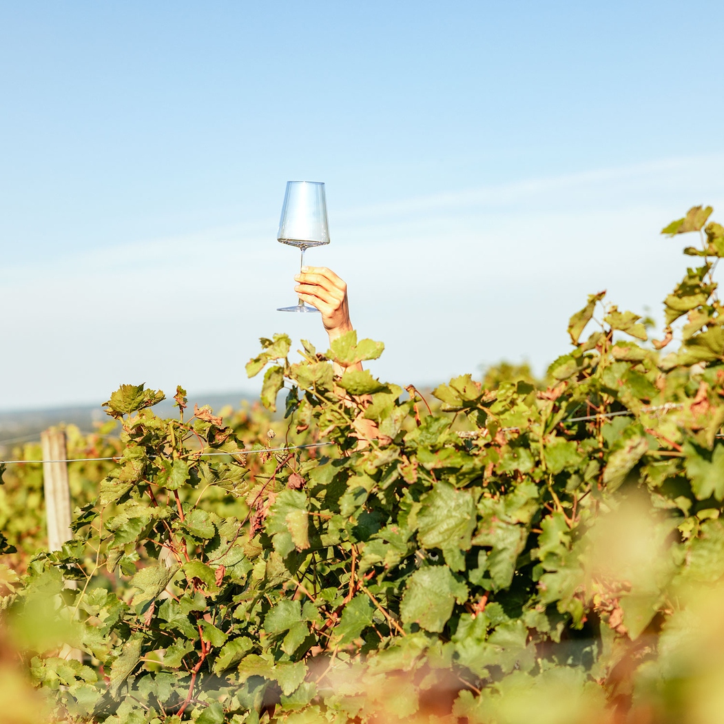 Power Red & Decanter Set - Stölzle Lausitz - 5602737110493