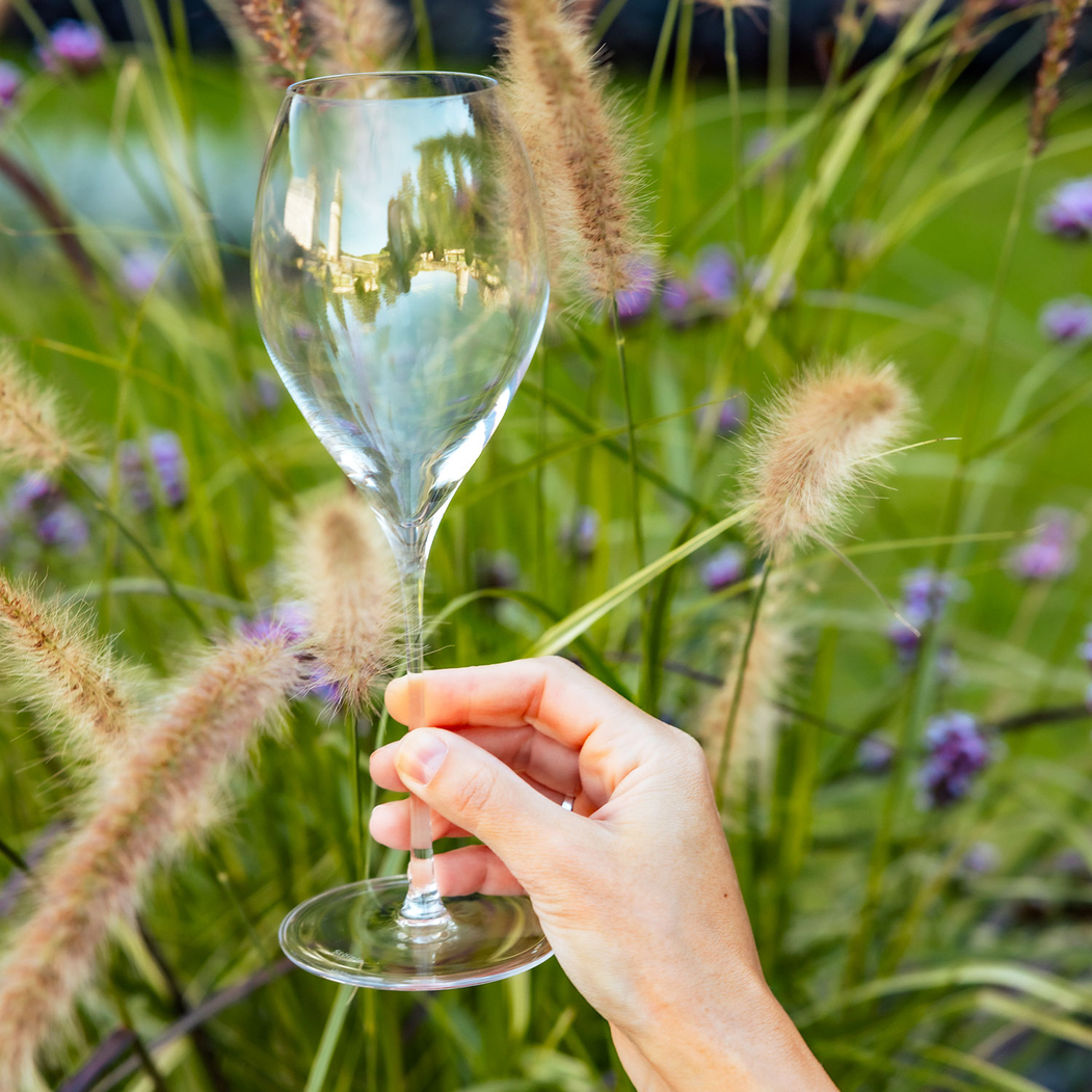 Champagne flute Fino 425ml - Stölzle Lausitz - 4012632299543