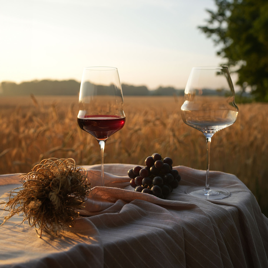 Cocoon red wine Glass 609ml - Stölzle Lausitz - 4012632299000