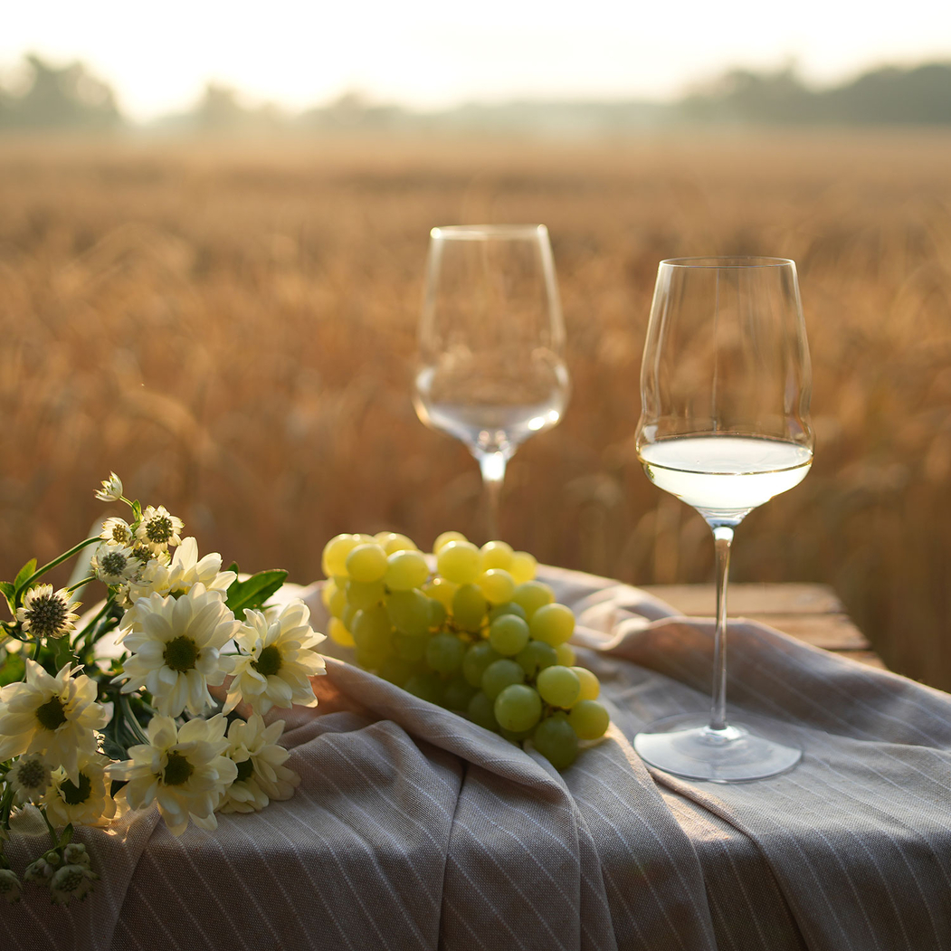 Cocoon white wine Glass 484ml - Stölzle Lausitz - 4012632299017